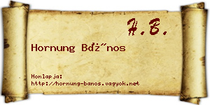 Hornung Bános névjegykártya